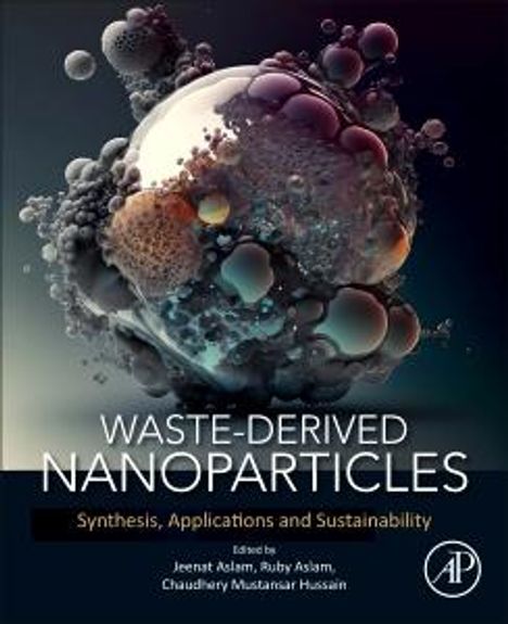 Waste-Derived Nanoparticles, Buch