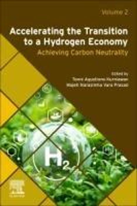 Accelerating the Transition to a Hydrogen Economy, Buch