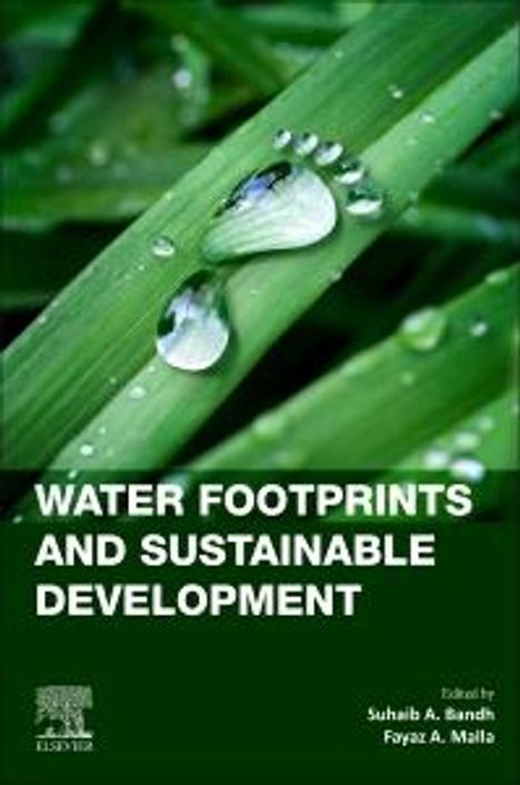 Water Footprints and Sustainable Development, Buch