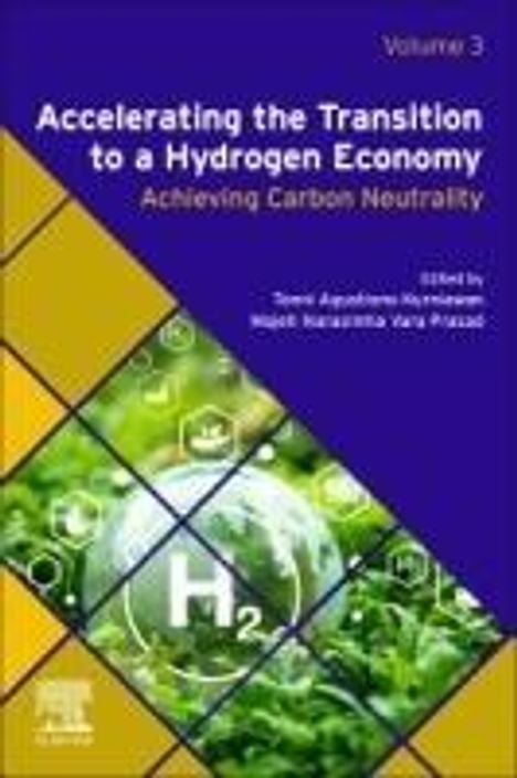 Accelerating the Transition to a Hydrogen Economy, Buch