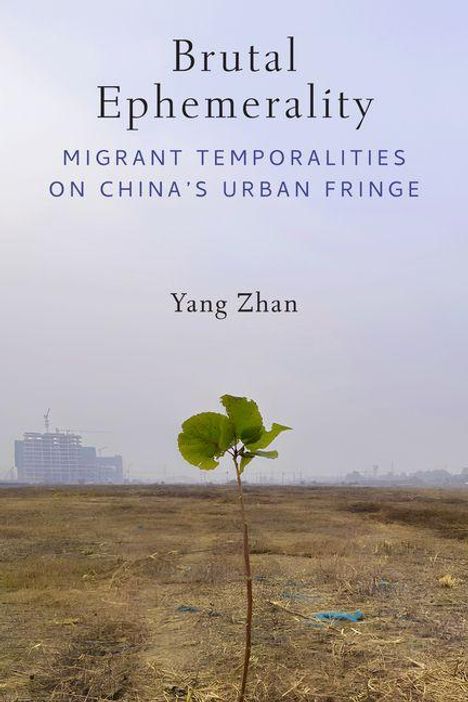 „Brutal Ephemerality“, „Migrant Temporalities on China's Urban Fringe“, „Yang Zhan“. Einsamer Setzling auf karger Landschaft.