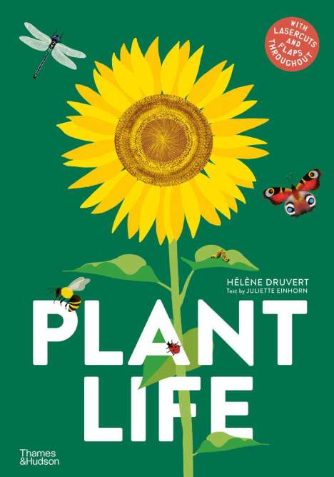 Helene Druvert: Plant Life, Buch