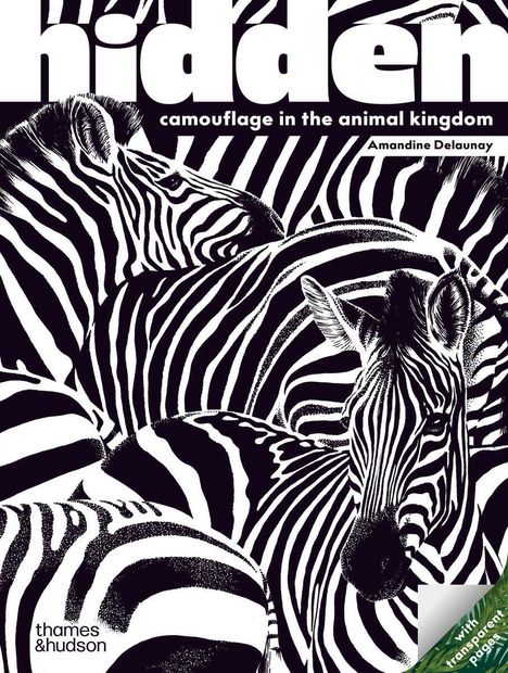 "hidden", "camouflage in the animal kingdom", "Amandine Delaunay". Zebras mit schwarz-weißen Streifen.
