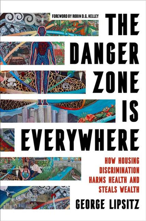 George Lipsitz: The Danger Zone Is Everywhere, Buch