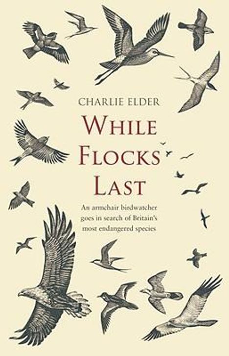 Charlie Elder: While Flocks Last: An Armchair Birdwatcher Goes in Search of Our Most Endangered Species, Buch