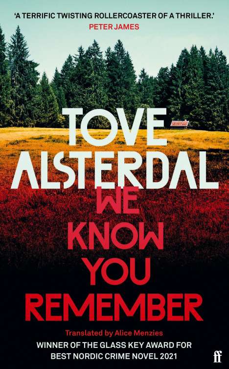 Tove Alsterdal: Alsterdal, T: We Know You Remember, Buch