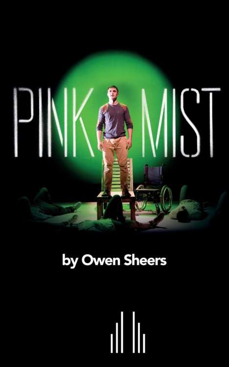 Owen Sheers: Pink Mist, Buch