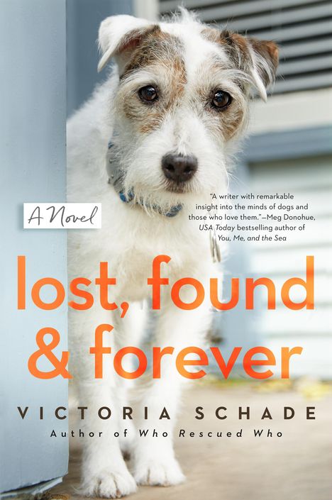 Victoria Schade: Lost, Found, and Forever, Buch