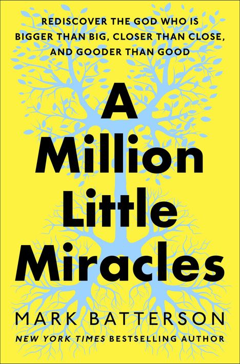 Mark Batterson: A Million Little Miracles, Buch