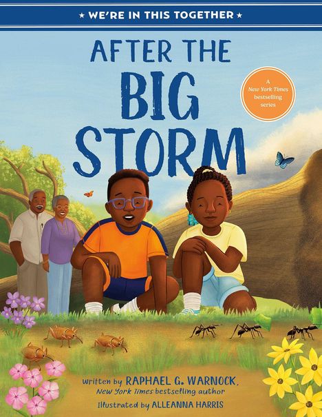 Titel: "After the Big Storm". Zwei Kinder sitzen in einer Wiese, umgeben von Blumen, Insekten und einem Schmetterling.
