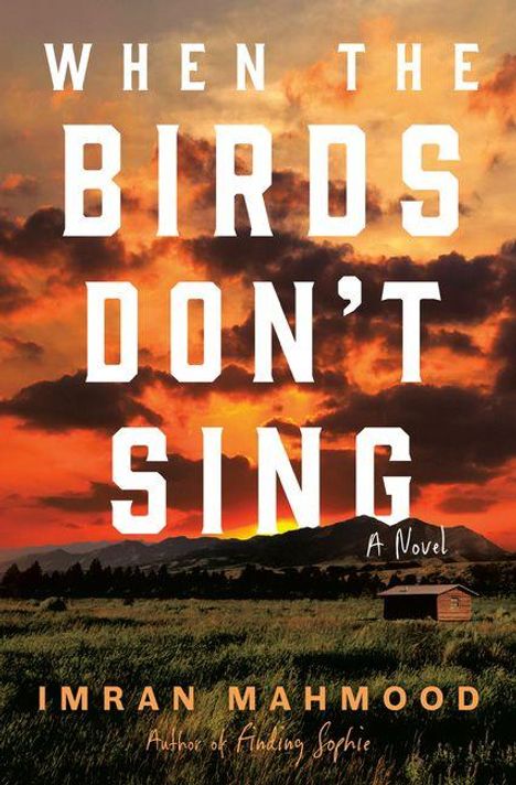 Texte: "WHEN THE BIRDS DON'T SING", "A Novel", "IMRAN MAHMOOD", "Author of Finding Sophie". Landschaft bei Sonnenuntergang.