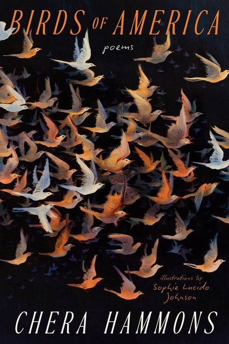 "Birds of America: poems, Chera Hammons. Illustrations by Sophie Lucido Johnson." Viele bunte Vögel fliegen.
