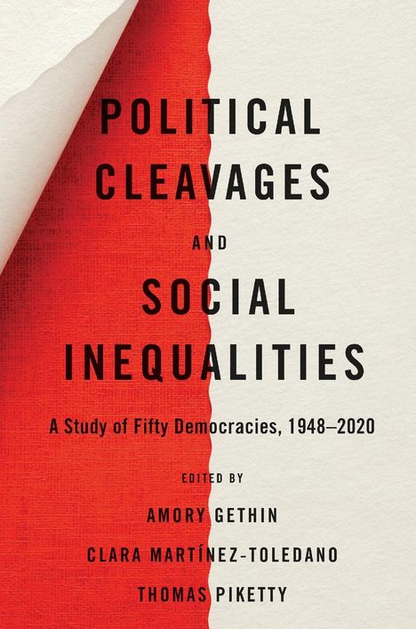 Political Cleavages and Social Inequalities, Buch