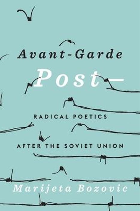 Marijeta Bozovic: Avant-Garde Post-, Buch