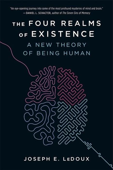Joseph E LeDoux: The Four Realms of Existence, Buch