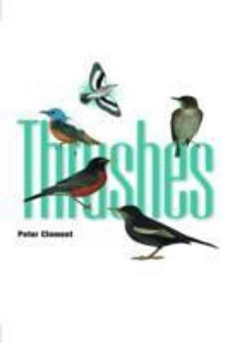 Peter Clement: Clement, P: Thrushes, Buch