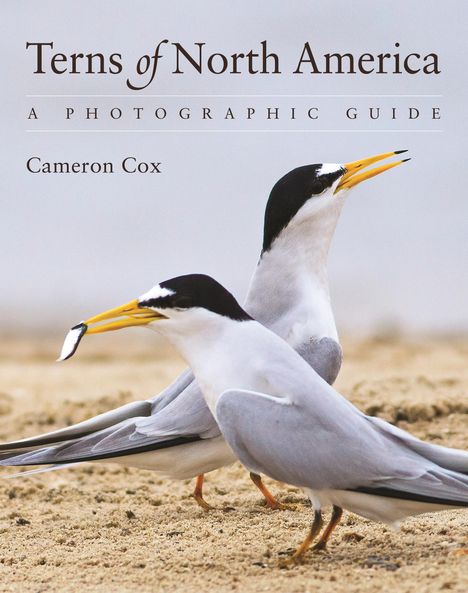 Cameron Cox: Terns of North America, Buch