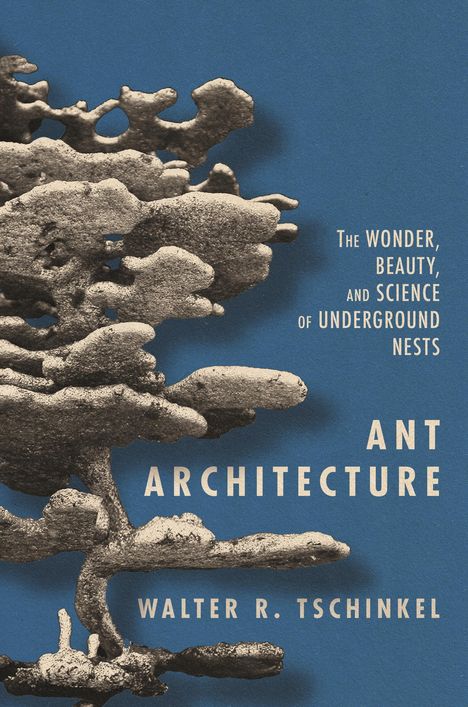 Walter R Tschinkel: Ant Architecture, Buch