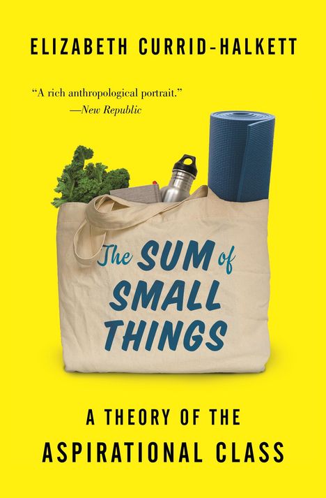 Elizabeth Currid-Halkett: The Sum of Small Things, Buch