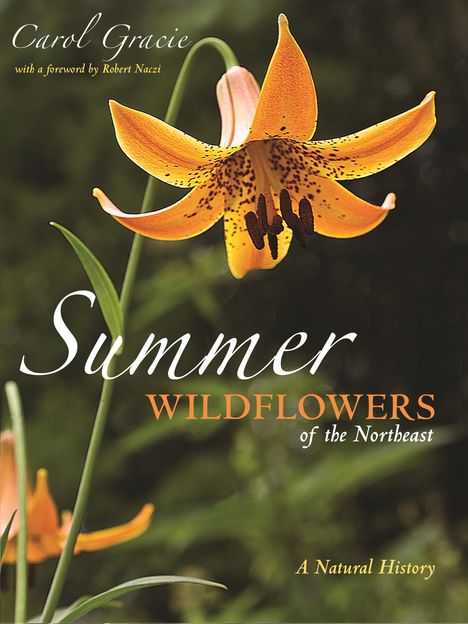 Carol Gracie: Summer Wildflowers of the Northeast, Buch