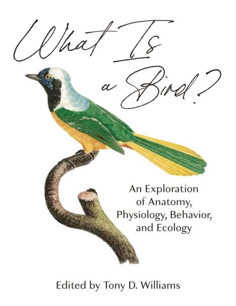 What Is a Bird?, Buch