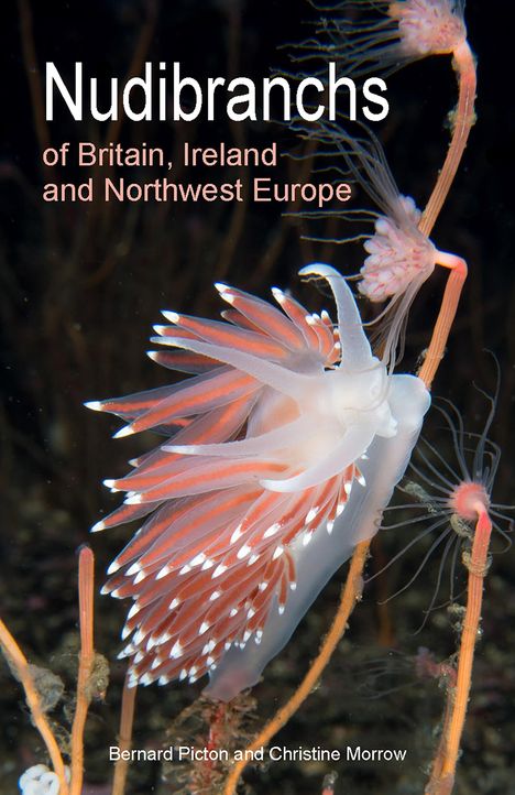 Bernard Picton: Nudibranchs of Britain, Ireland and Northwest Europe, Buch