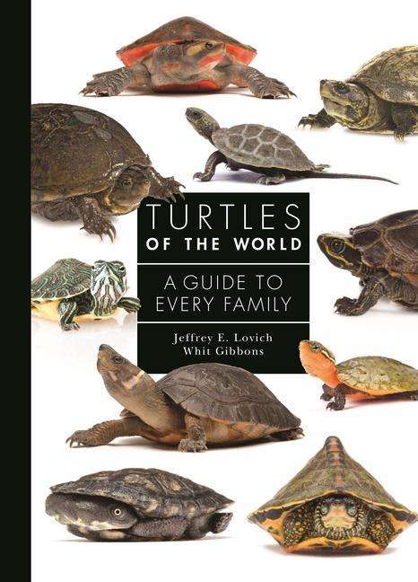 Jeffrey E. Lovich: Turtles of the World, Buch