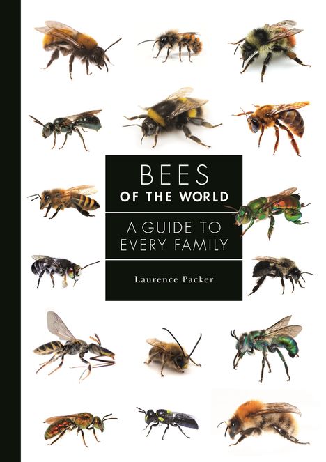 Laurence Packer: Bees of the World, Buch