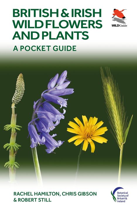 Rachel Hamilton: British and Irish Wild Flowers and Plants, Buch