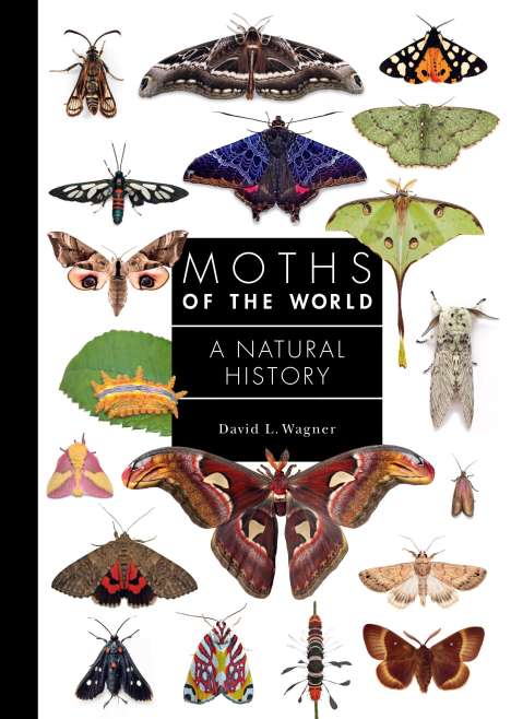 David Wagner: Moths of the World, Buch