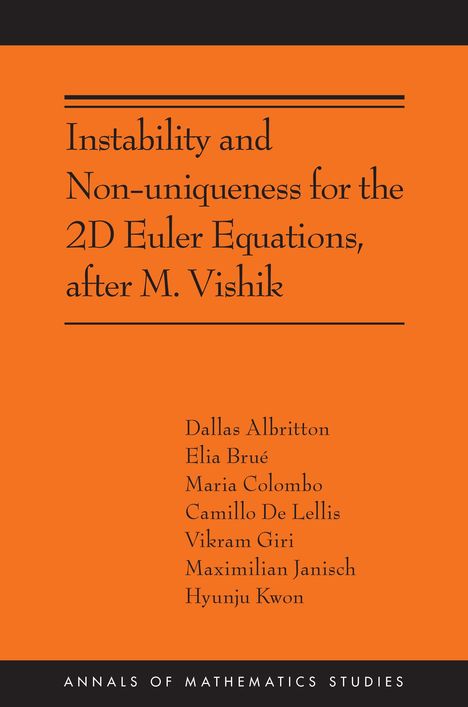 Camillo De Lellis: Instability and Non-uniqueness for the 2D Euler Equations, after M. Vishik, Buch