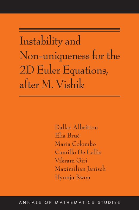 Camillo De Lellis: Instability and Non-Uniqueness for the 2D Euler Equations, After M. Vishik, Buch