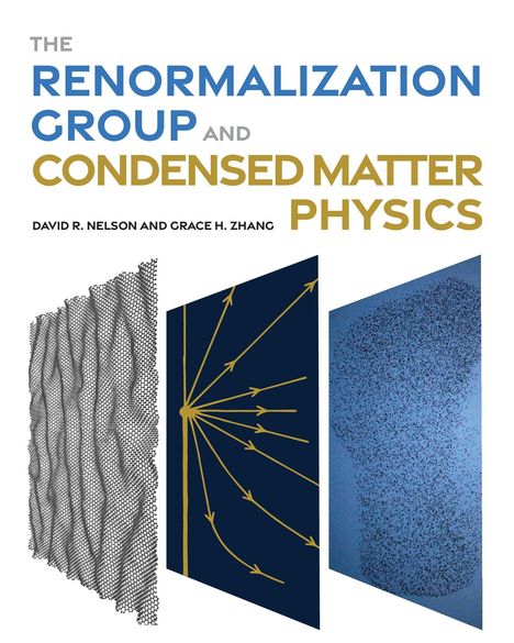 David Nelson: The Renormalization Group and Condensed Matter Physics, Buch