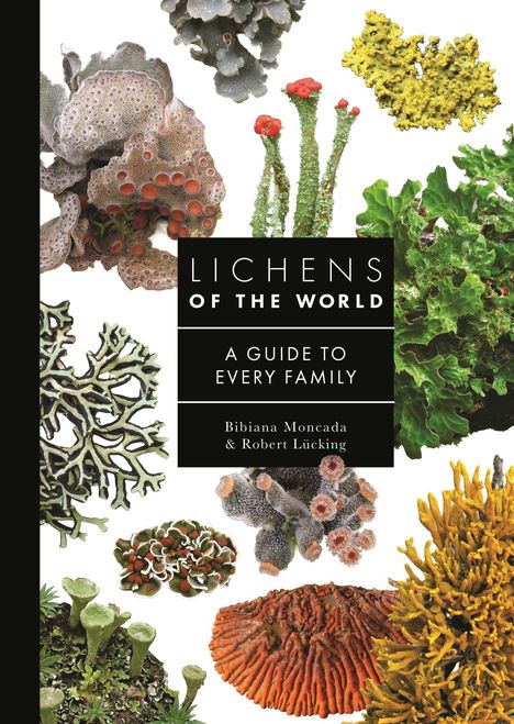 "LICHENS OF THE WORLD: A GUIDE TO EVERY FAMILY" von Bibiana Moncada & Robert Lücking. Verschiedene Flechtenarten.