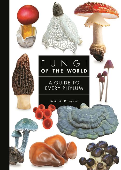 "Fungi of the World: A Guide to Every Phylum" von Britt A. Bunyard. Verschiedene Pilzarten, leuchtende Farben.