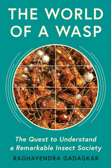 "The World of a Wasp" in großen Buchstaben, Foto mit vielen Wespen auf Waben darunter.