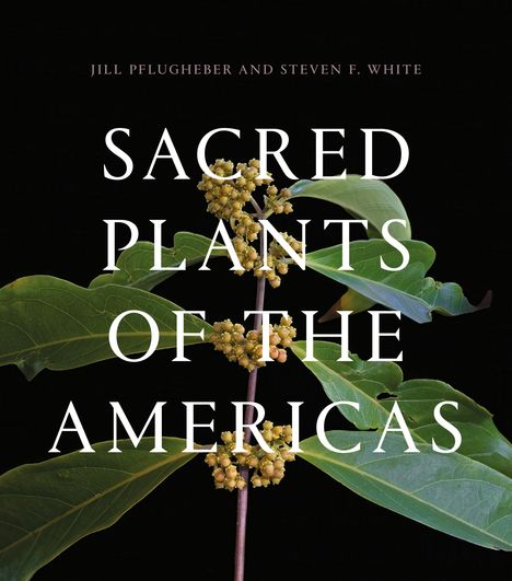 "Sacred Plants of the Americas", Autoren oben, grüne Pflanze mit gelben Blüten auf schwarzem Hintergrund.
