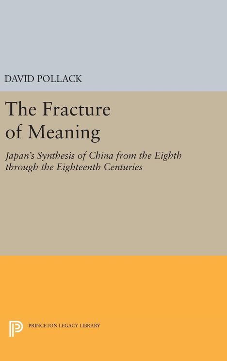 David Pollack: The Fracture of Meaning, Buch