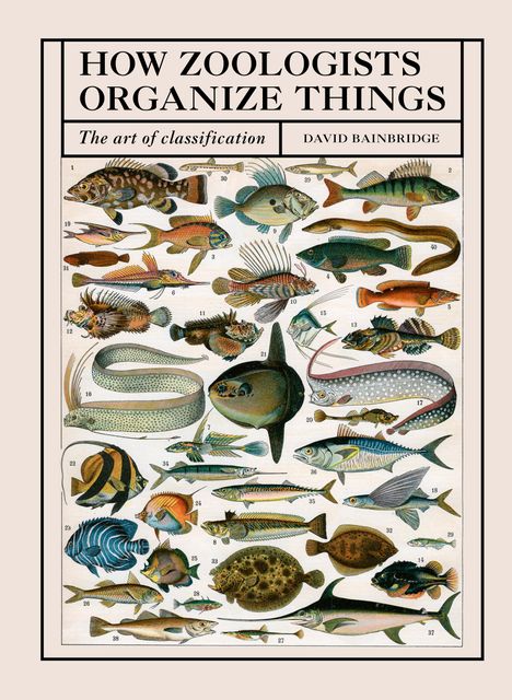 David Bainbridge: How Zoologists Organize Things: The Art of Classification, Buch