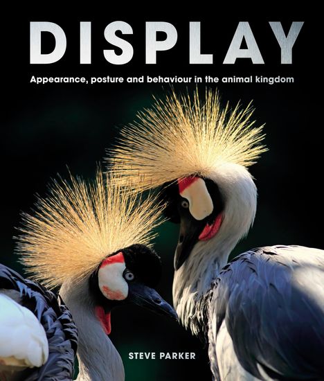 Steve Parker: Display, Buch