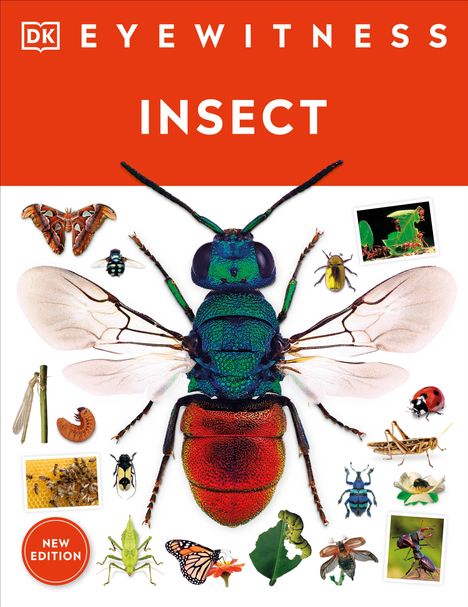 Dk: Eyewitness Insect, Buch