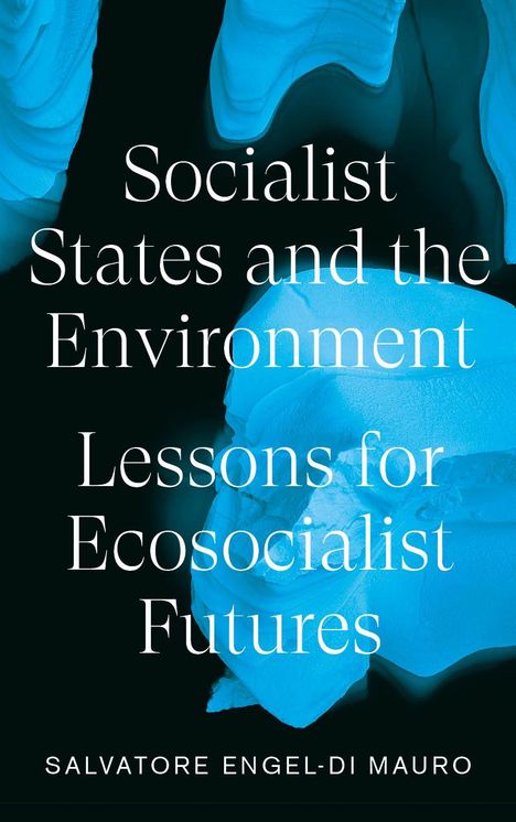 Salvatore Engel-Di Mauro: Socialist States and the Environment, Buch