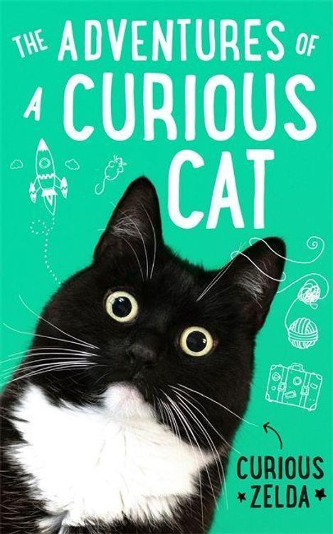 Curious Zelda: Zelda, C: Adventures of a Curious Cat, Buch