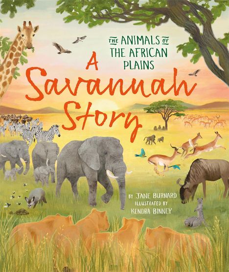 Jane Burnard: A Savannah Story, Buch