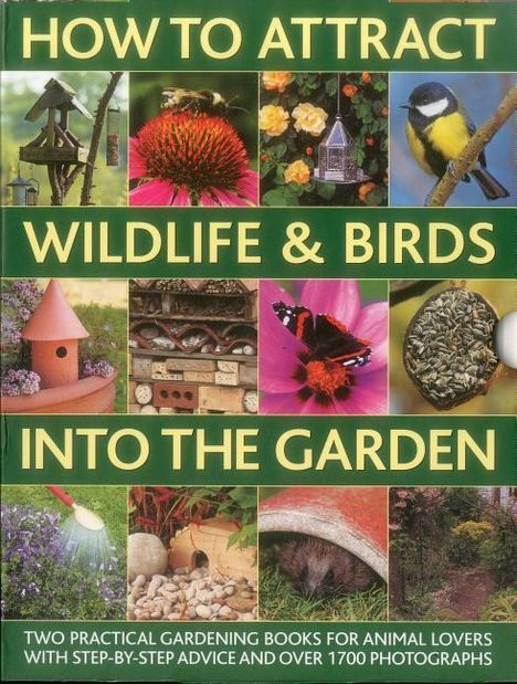 Christine Lavelle: How to Attract Wildlife &amp; Birds Into the Garden, Buch