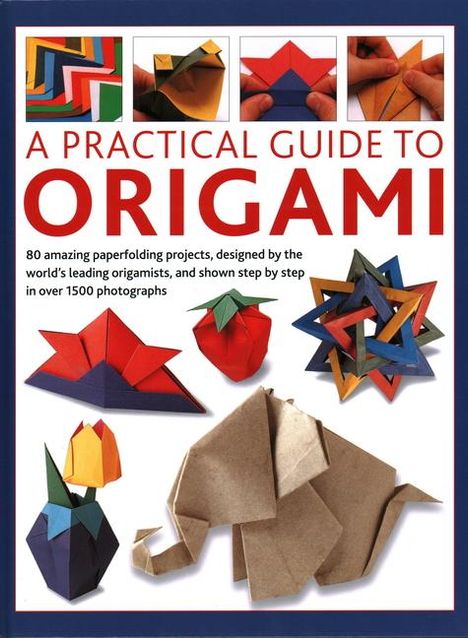 Rick Beech: A Practical Guide to Origami, Buch