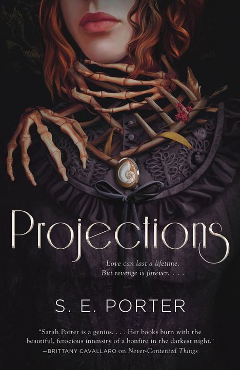 S. E. Porter: Projections, Buch