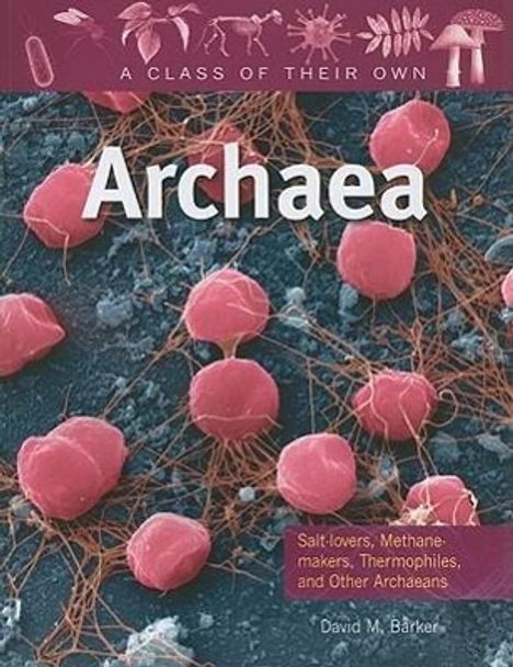 „Archaea“ und „Salt-lovers, Methane-makers, Thermophiles, and Other Archaeans“. Rote Zellen auf blauem Hintergrund.