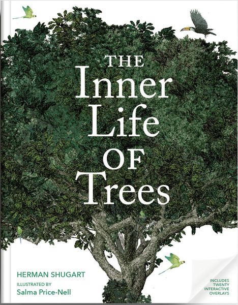 „The Inner Life of Trees“ von Herman Shugart, illustriert von Salma Price-Nell. Illustration: Baum mit Vögeln.