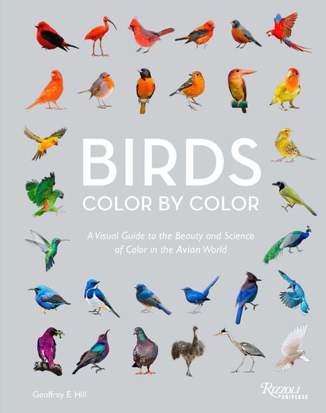 Vordergrund: "BIRDS COLOR BY COLOR" und verschiedene bunte Vögel. Darunter "Geoffrey E. Hill".